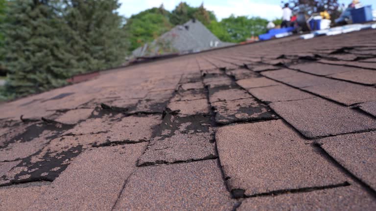 Best Roof Maintenance and Cleaning  in Garnet, CA